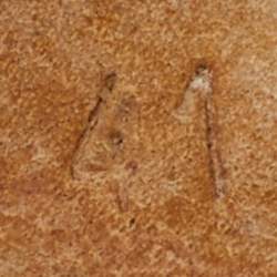 Pre Owned Dolce & Gabbana Off White Lace and Satin Crystal Embellished Bianca Flat Slide Sandals Size 41