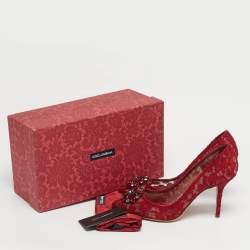 Pre Owned Dolce & Gabbana Red Lace Crystal Embellished Bellucci Pointed Toe Pumps Size 40
