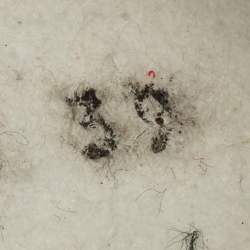 Pre Owned Dolce & Gabbana Ns1 Size 39 Red Fabric and Leather Lace Up Sneakers