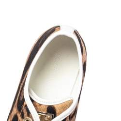 Pre Owned Dolce & Gabbana Brown/White Leopard Print Canvas and Leather Lace Low Top Sneakers Size 38