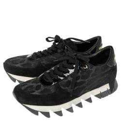 Dolce & Gabbana Black Leopard Print Fabric and Suede Sawtooth Sneakers Size 41