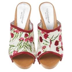 مملوكة مسبقًا صندل كلوغ دولتشي أن غابانا جلد وكانفاس مطبوع مورد أحمر/أبيض مقاس 37