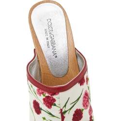 مملوكة مسبقًا صندل كلوغ دولتشي أن غابانا جلد وكانفاس مطبوع مورد أحمر/أبيض مقاس 37