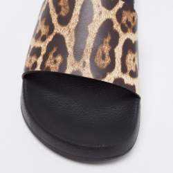 Pre Owned Dolce & Gabbana Brown Leopard Print Leather Flat Slides Size 37