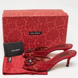 Pre Owned Dolce & Gabbana Red Mesh and Lace Bianca Sandals Size 38