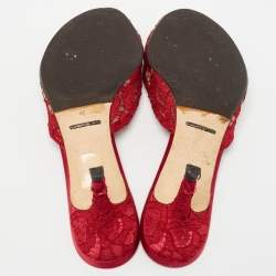 Pre Owned Dolce & Gabbana Red Mesh and Lace Bianca Sandals Size 38