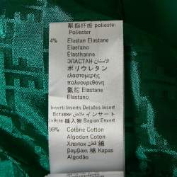 Pre Owned Elisabetta Franchi Green Crepe Fringed Mini Dress S