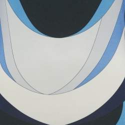 Pre Owned Emilio Pucci Blue Printed Jersey V-Neck Top M