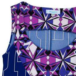 Pre Owned Emilio Pucci Printed Jersey Dress XS