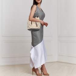 Pre Owned Emporio Armani Brown/Beige Signature Fabric and Leather Drawstring Bucket Bag 