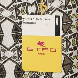 Pre Owned Etro Green Printed Silk Layered Shift Dress S