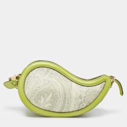 Etro Green/Grey Paisley Coated Canvas and Python Embossed Crossbody Bag