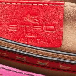 Etro Multicolor Printed Coated Canvas Frame Crossbody Bag