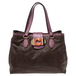 مملوكة مسبقًا Etro Brown/Purple Paisley Printed Canvas and Lizard Embossed Leather Tote