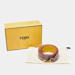 Pre Owned Fendi Multicolor Python Shoulder Bag Strap
