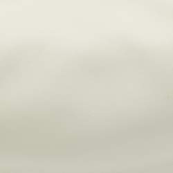 Pre Owned Fendi White Leather Medium Fendigraphy Hobo