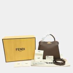 Pre Owned Fendi Etoupe Leather Small Peekaboo ISeeU Top Handle Bag