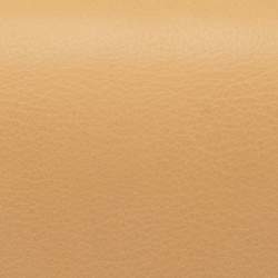 Pre Owned Fendi Multicolor Leather 2Jours Envelope Clutch