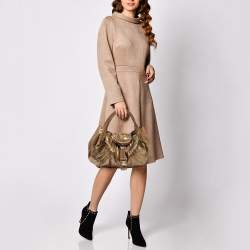 Pre Owned Fendi Gold Python and Metal Mesh Spy Hobo