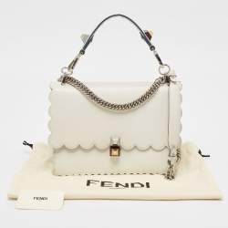 Pre Owned حقيبة كتف فندي كان أي جلد سكولابد بني/أزرق متوسطة