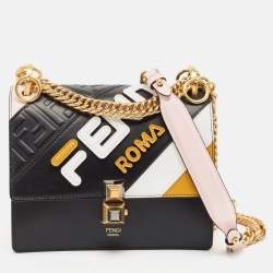 Fendi Multicolor Leather Small Liberty Mix Kan I Chain Shoulder Bag