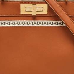 Fendi Brown Leather Embroidered Medium Peekaboo Iseeu Top Handle Bag