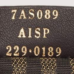 Fendi Silver Leather Nano Fendigraphy Hobo