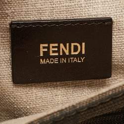 Pre Owned Fendi Multicolor Leather and Python Silvana Top Handle Bag