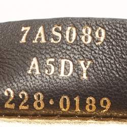 Fendi Peach Leather Nano Fendigraphy Hobo