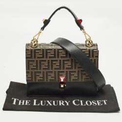 Pre Owned حقيبة فندي كان أي جلد يد علوية متوسطة أسود/بني FF