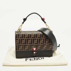 مملوكة مسبقًا حقيبة فندي كان أي جلد يد علوية متوسطة أسود/بني FF