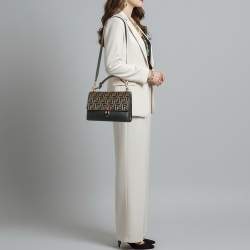 مملوكة مسبقًا حقيبة فندي كان أي جلد يد علوية متوسطة أسود/بني FF