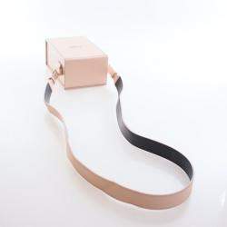 مملوكة مسبقًا حقيبة بوكسا رأسية جلد فندي