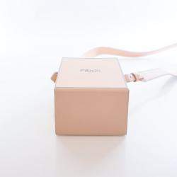 مملوكة مسبقًا حقيبة بوكسا رأسية جلد فندي