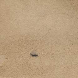 مملوكة مسبقًا حقيبة كتف فندي سكولابد كان 1 جلد أخضر داكن صغيرة