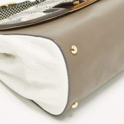 Pre Owned Fendi Silvana Multicolor Leather and Water Snake Top Handle Bag