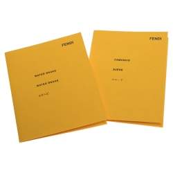 Pre Owned Fendi Black Leather with Watersnake and Suede Lining Large Peekaboo Top Handle Bag