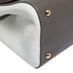 Pre Owned Fendi Multicolor Leather and Python Silvana Top Handle Bag