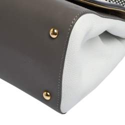 Pre Owned Fendi Multicolor Leather and Python Silvana Top Handle Bag