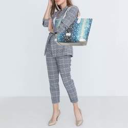 Pre Owned حقيبة يد فندي شوبر كانفاس مقوى مطبوع شعار الماركة مونوغرامي متعدد الألوان