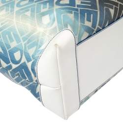 Pre Owned حقيبة يد فندي شوبر كانفاس مقوى مطبوع شعار الماركة مونوغرامي متعدد الألوان