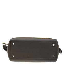 Pre Owned Fendi Grey Leather And Python Dotcom Top Handle Bag