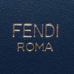 Pre Owned Fendi Multicolor Leather And Python Small Runaway Shoulder Bag
