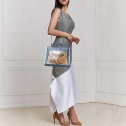 Pre Owned Fendi Multicolor Leather And Python Small Runaway Shoulder Bag