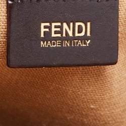 Fendi Multicolor Penguin Stripe Canvas and Leather Silvana Top Handle Bag