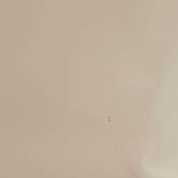 Pre Owned Fendi Light Beige Leather and Python Detail Monster Roll Tote