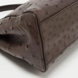 Pre Owned Fendi Brown Ostrich Leather Mini Peekaboo Top Handle Bag