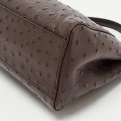 Pre Owned Fendi Brown Ostrich Leather Mini Peekaboo Top Handle Bag