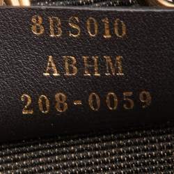 Pre Owned Fendi Tobacco/Cream Zucca Canvas and Raffia Mini Mon Tresor Bucket Bag