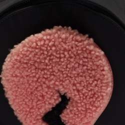 Pre Owned Fendi Black Nylon and Shearling Mini Dolce Lightbulb Backpack